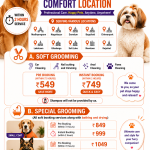 Professional Pet Grooming at Your Comfort Location with PawSang